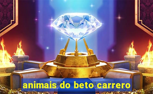 animais do beto carrero